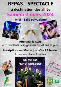 affiche repas des aines