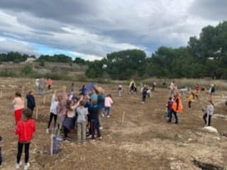 311866038 6090155210994557 6463986881902480882 N