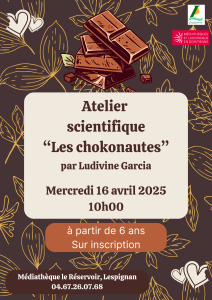 Atelier scientifique chokonautes