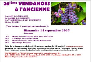 545833064_801582762368755_2250164349771932240_n