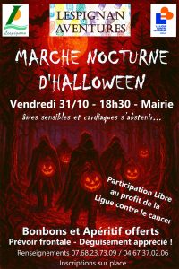 Affiche marche nocturne